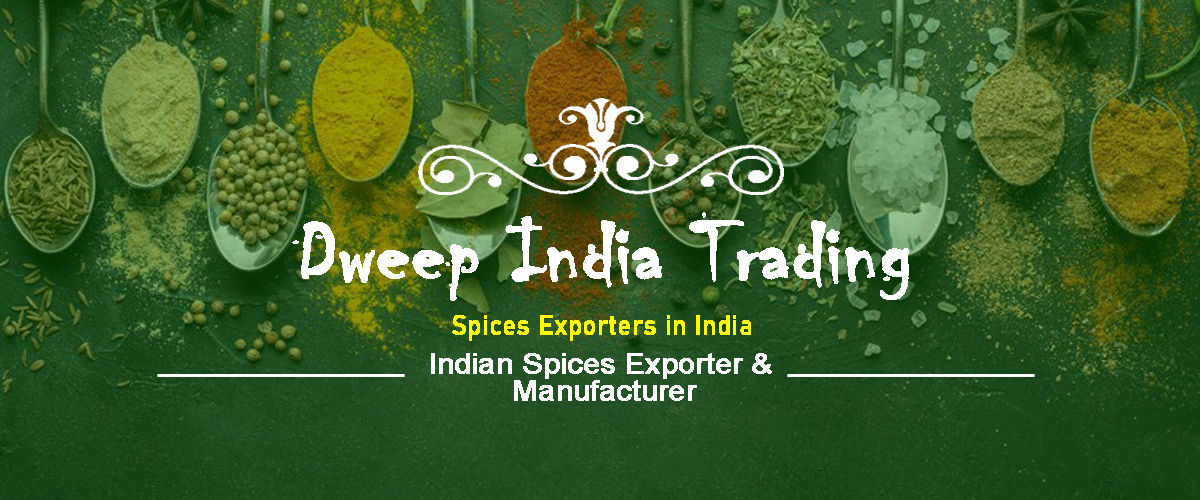 indian spice banner 1